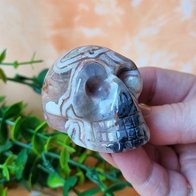 Crazy Lace Agate Skull - (ID: cra42)