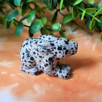 Dalmation Jasper Rabbit – (ID: cra44)