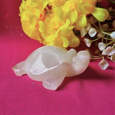 Banded Calcite Turtle - (ID: cra69)