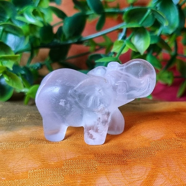 Clear Fluorite Elephant – (ID: cra70)