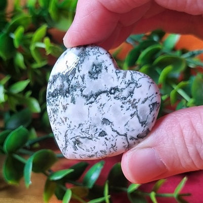 Tree Agate Heart – (ID: crf15)