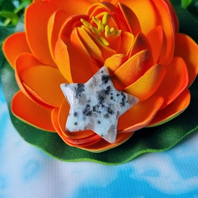 Kiwi Jasper Star – mini - (ID: crf60)