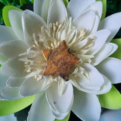Crazy Lace Agate Star – mini - (ID: crf8)