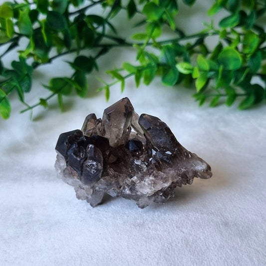 Smokey Quartz Cluster - (ID: crn118)