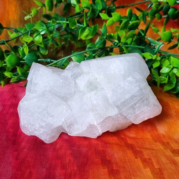 Apophyllite Cluster – (ID: crn20)