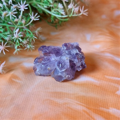 Amethyst Cluster - mini – (ID: crn52)