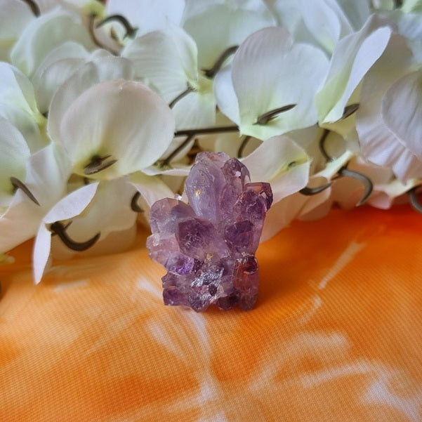 Amethyst Cluster - mini – (ID: crn52)