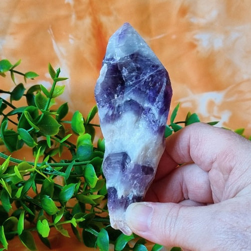 Chevron Amethyst Raw Point - (ID: crn70)