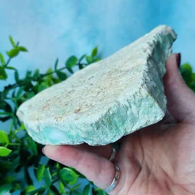 Green Chrysoprase - (ID: crn71)