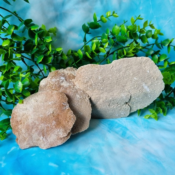 Gypsum (Desert Rose) Blades - (ID: crn72)