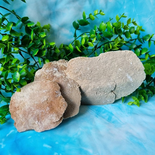 Gypsum (Desert Rose) Blades - (ID: crn72)