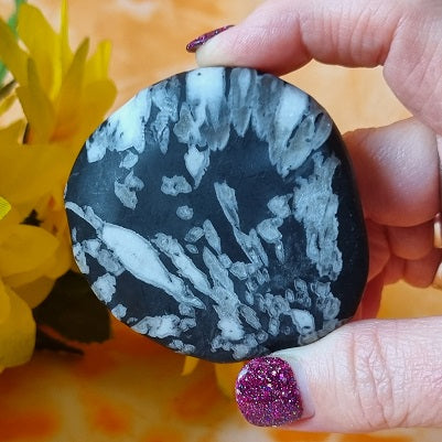 Chrysanthemum Stone – (ID: crp113)