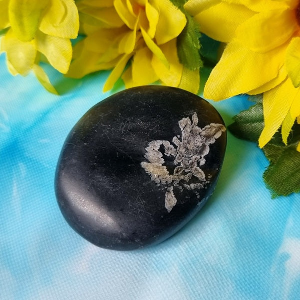 Chrysanthemum Stone – (ID: crp114)