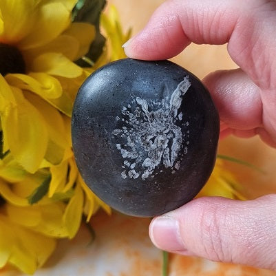 Chrysanthemum Stone – (ID: crp115)