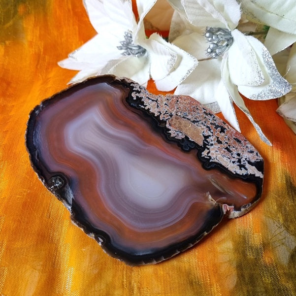 Brown Agate Slice – (ID: crp15)
