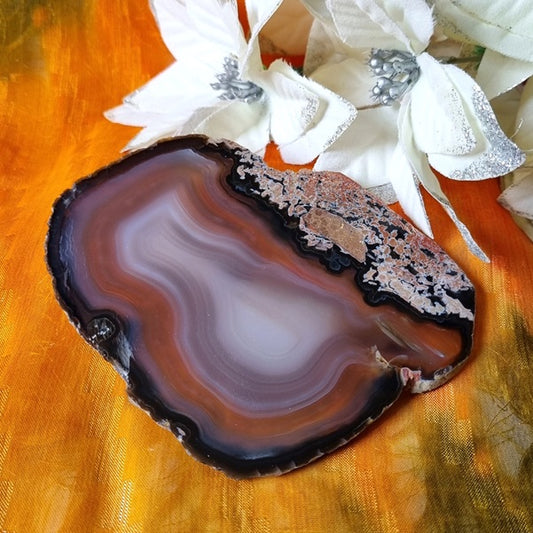 Brown Agate Slice – (ID: crp15)