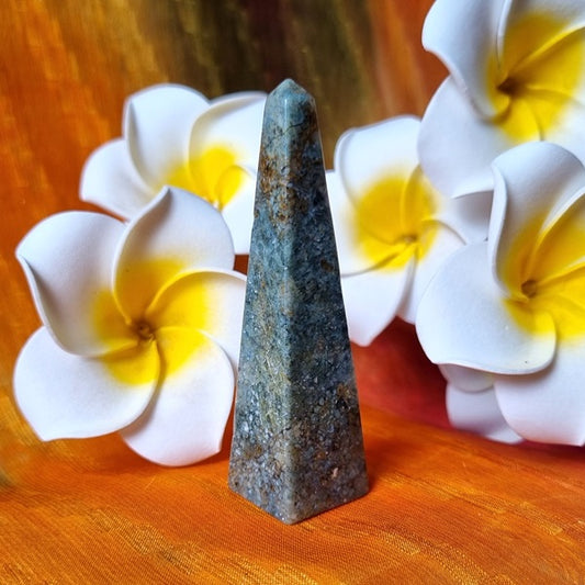 Ocean Jasper Oblisk – (ID: crp20)