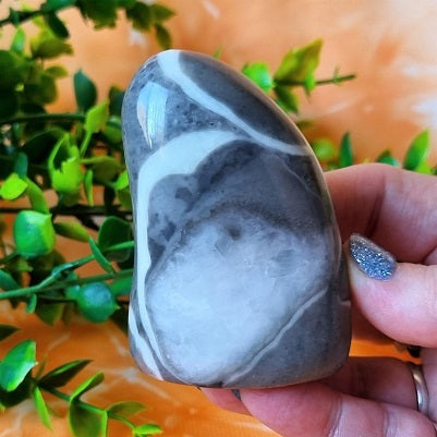 Marble (Shell) Jasper Freeform – (ID: crp6)