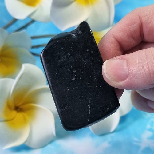 Shungite Slice – (ID: crp66)