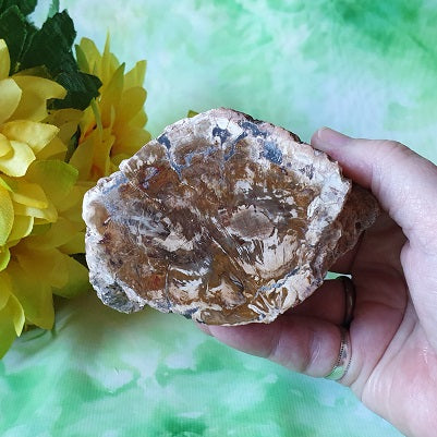 Petrified Wood – (ID: crn136)