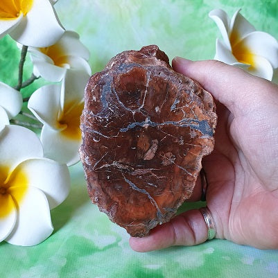 Petrified Wood – (ID: crn137)