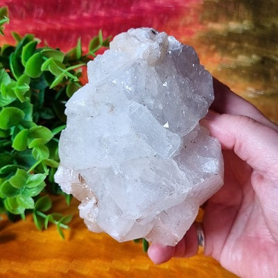 Apophyllite Cluster - (ID: crn29)