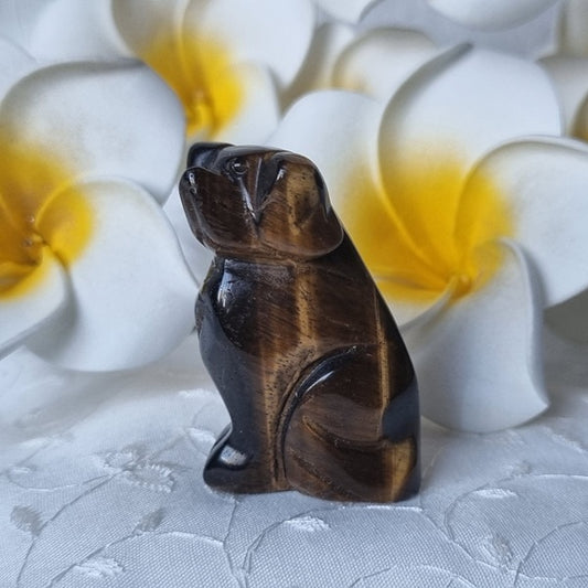 Gold Tigers Eye Dog – (ID: cra13)