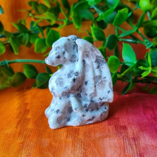 Kiwi Jasper Dragon – (ID: cra15)