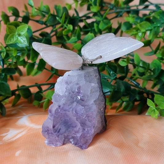 Clear Quartz Butterfly on Amethyst Cluster – (ID: cra21)