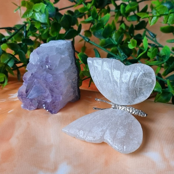 Clear Quartz Butterfly on Amethyst Cluster – (ID: cra21)