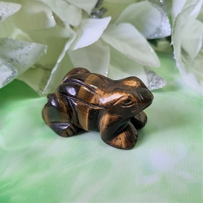 Gold Tigers Eye Frog – (ID: cra33)