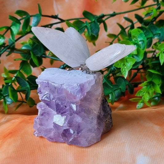 Clear Quartz Butterfly on Amethyst Cluster – (ID: cra45)
