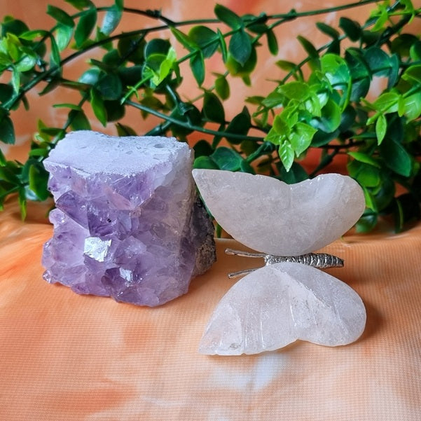 Clear Quartz Butterfly on Amethyst Cluster – (ID: cra45)