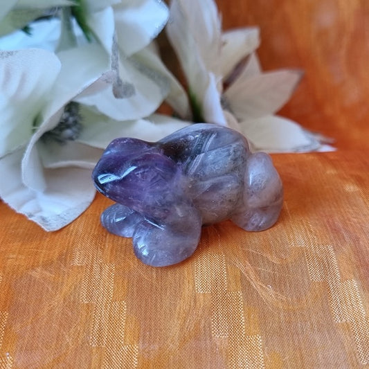 Amethyst Frog – (ID: cra4)