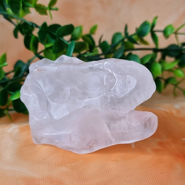 Clear Quartz Dinosaur Skull – medium - (ID: cra52)