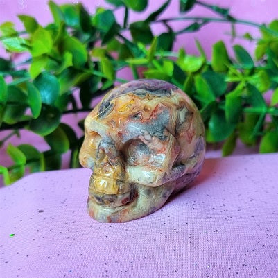 Crazy Lace Agate Skull – (ID: cra56)