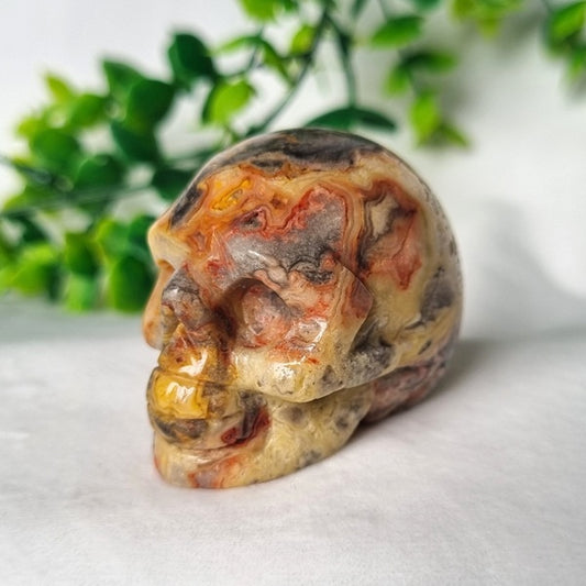 Crazy Lace Agate Skull – (ID: cra56)