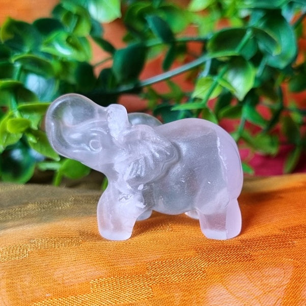 Clear Fluorite Elephant – (ID: cra70)