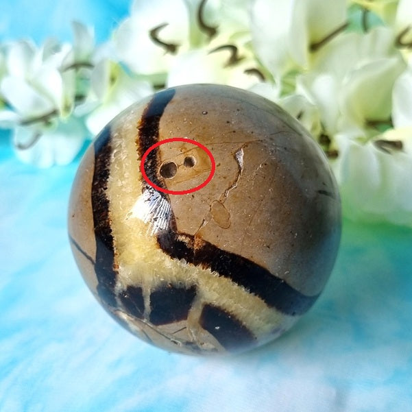 Septarian Sphere – (ID: crf38)