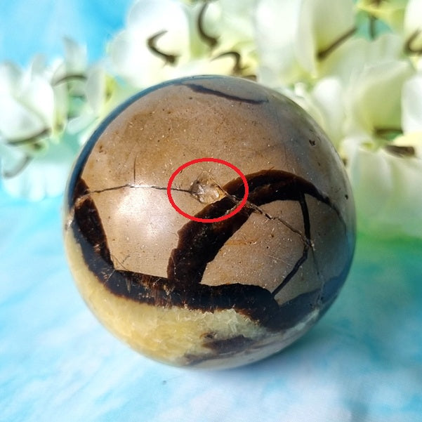 Septarian Sphere – (ID: crf38)