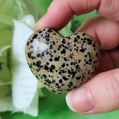 Dalmatian Jasper Heart - (ID: crf6)