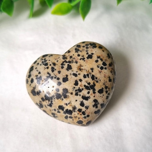 Dalmatian Jasper Heart - (ID: crf6)