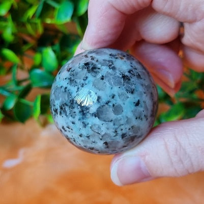 Kiwi Jasper Sphere - (ID: crf75)