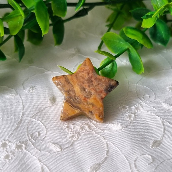 Crazy Lace Agate Star – mini - (ID: crf8)