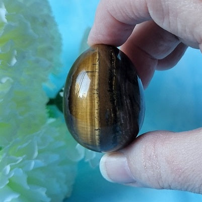 Gold Tigers Eye Egg – (ID: crf94)