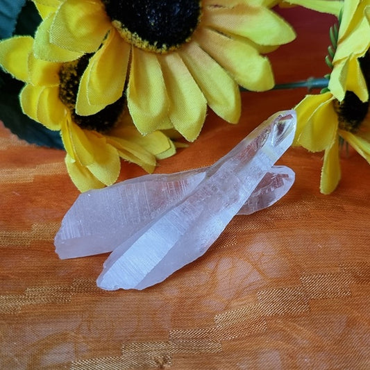 Lemurian Twin Point – (ID: crn1)