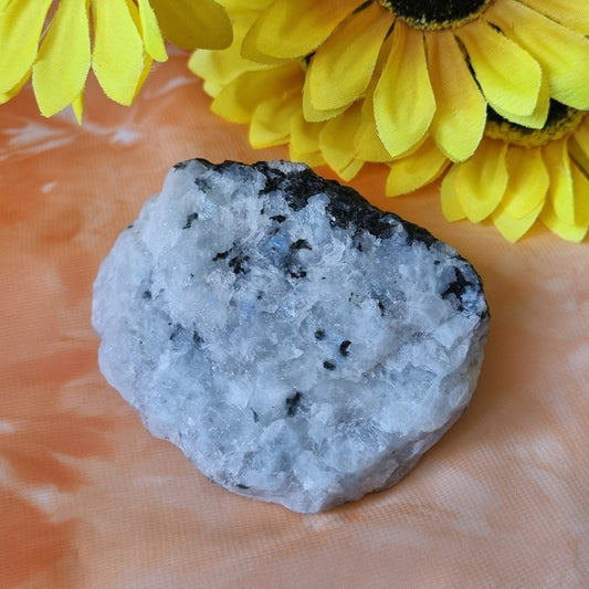 Rainbow Moonstone - (ID: crn105)