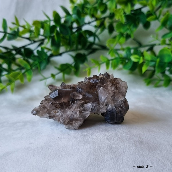 Smokey Quartz Cluster - (ID: crn118)