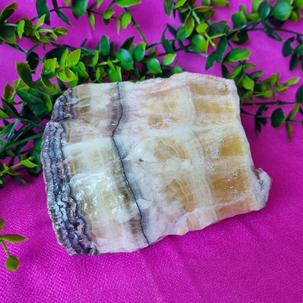 Coral Calcite – (ID: crn13)