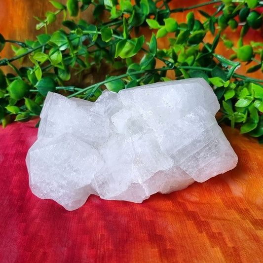 Apophyllite Cluster – (ID: crn20)